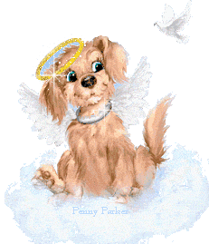 JOLI P'TIT CHIEN EN ANGE
